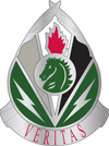 File:2nd Psychological Operations Group, US Army1.jpg