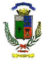 Arms of Buenos Aires (canton)
