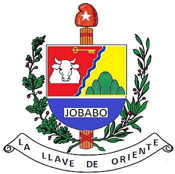 Arms of Jobabo