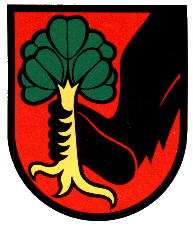 Wappen von Erlach (district)
