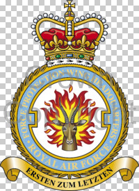 Coat of arms (crest) of No 1 Force Protection Wing, Royal Air Force