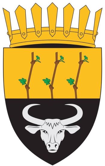 Coat of arms of Sireți