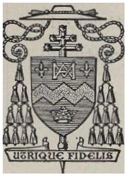 Arms of Jean-Julien Weber
