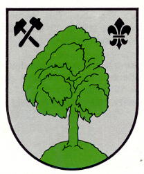 Wappen von Frankenholz / Arms of Frankenholz