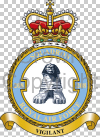 Coat of arms (crest) of the No 208 Squadron, Royal Air Force