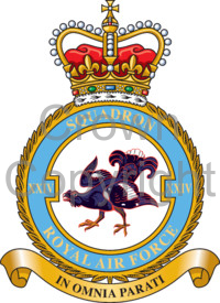 Coat of arms (crest) of the No 24 Squadron, Royal Air Force