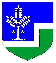 Arms of Aseri
