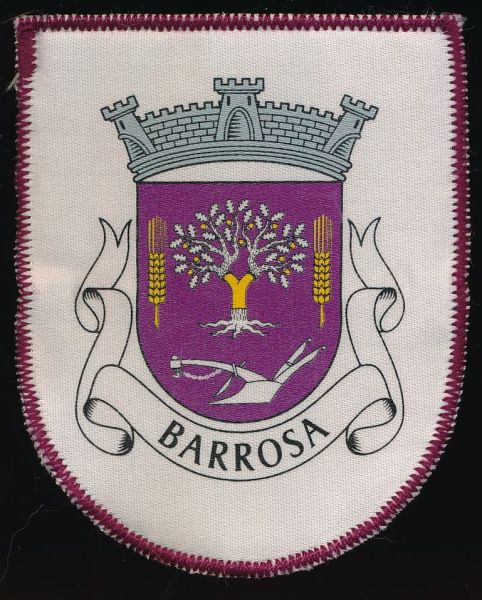 File:Barrosa.patch.jpg