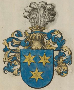Arms of Celje