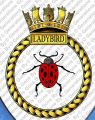 HMS Ladybird, Royal Navy.jpg