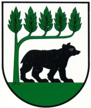 Arms of Kościerzyna