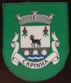 Brasão de Capinha/Arms (crest) of Capinha