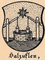 Wappen von Salzuflen/ Arms of Salzuflen