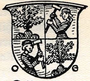 Arms of Florian Eichschmid