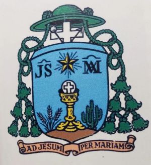 Arms of Jorge Gottau