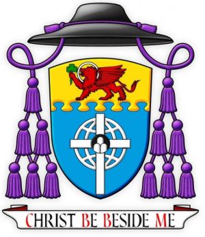 Arms of Mark Rowan