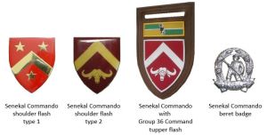 Senekal Commando, South African Army.jpg