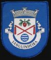Brasão de Sanguinheira/Arms (crest) of Sanguinheira