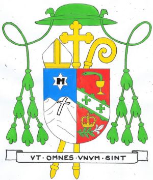 Arms of John Henry Tihen