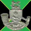 Durban Light Infantry, South African Army.jpg