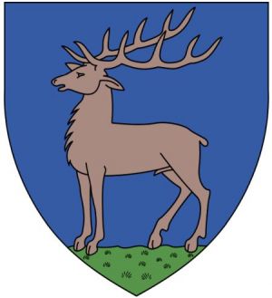 Arms (crest) of Gorj (county)