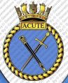 HMS Acute, Royal Navy.jpg