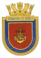 Corps of Marine Infantry, Chilean Navy.jpg
