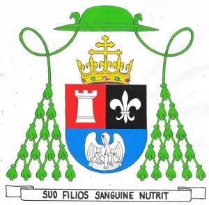 Arms of Napoléon-Joseph Perché