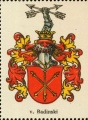 Wappen von Badinski nr. 2845 von Badinski
