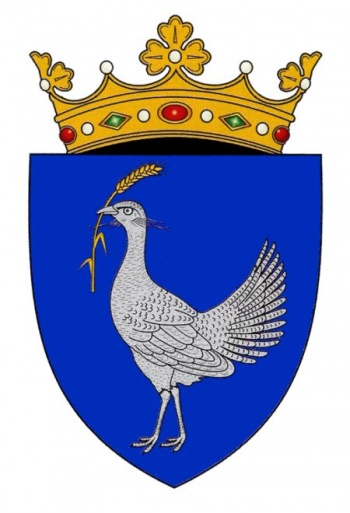 Coat of arms of Drochia (district)