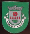 Brasão de Barqueiros (Barcelos)/Arms (crest) of Barqueiros (Barcelos)