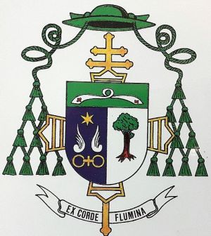 Arms of Santiago Martínez Acebes