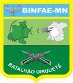 Manaus Special Aeronautical Infantry Battalion, Brazilian Air Force.jpg