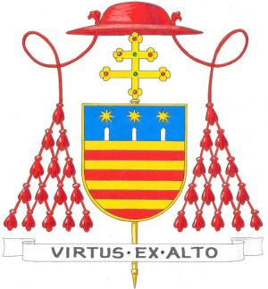 Arms (crest) of Renato Raffaele Martino
