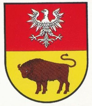 Arms of Knyszyn