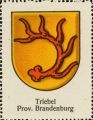 Arms of Triebel