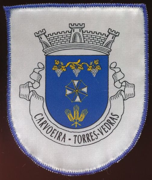 File:Carvoeiratv.patch.jpg