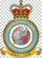 Air Mobility Force, Royal Air Force.jpg