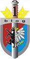 1st Logistic Battalion, Poland.jpg
