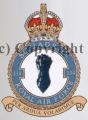 No 134 Squadron, Royal Air Force.jpg