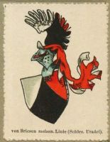 Wappen von Briesen