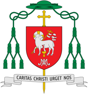 Arms of Nicolás Baisi