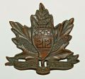 212th (Winnipeg Americans) Battalion, CEF.jpg