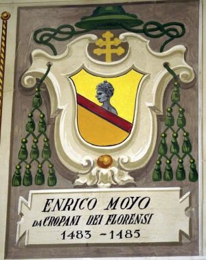 Arms of Enrico Moyo