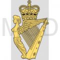 The Royal Irish Regiment (27th (Inniskilling), 83rd adn 87th and Ulster Defence Regiment), British Army.jpg