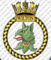 HMS Wilton, Royal Navy.jpg