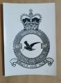 No 167 (Gold Coast) Squadron, Royal Air Force.jpg
