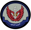 7 Squadron, Royal Saudi Air Force.png