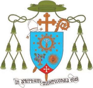 Arms of Javier Vilanova Pellisa