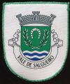 Valesalgueiro.patch.jpg